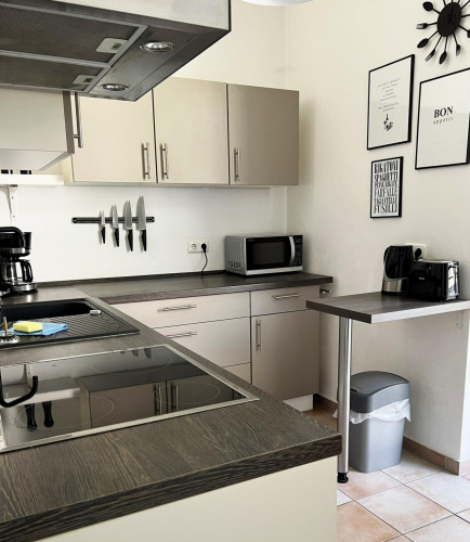 Stylish central apartment nearby Magdeburg Hasselbachplatz