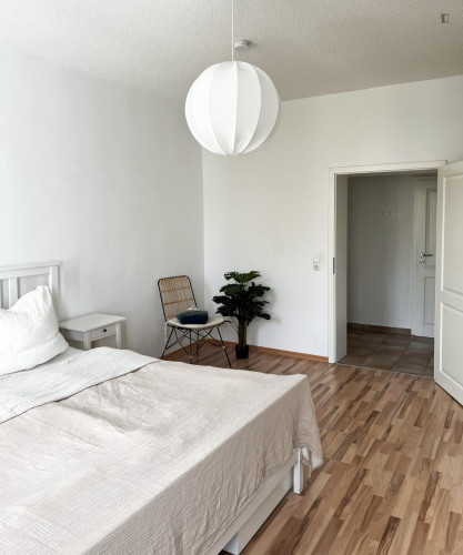 Stylish central apartment nearby Magdeburg Hasselbachplatz