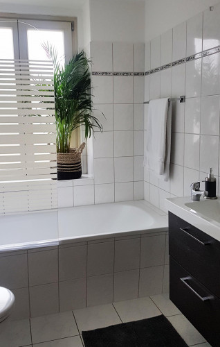 WE 18 Cosy apartment close to Stadtpark Rotehorn - Gallery - 6