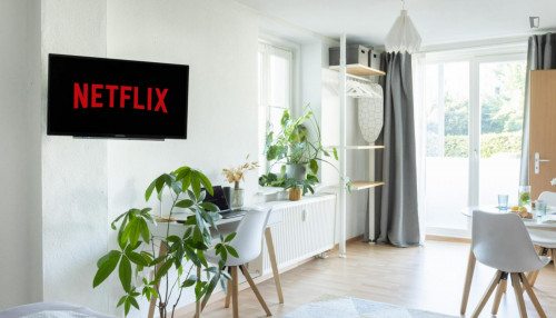 WE 17 Appartement mit Netflix, Boxspringbett und Terrasse