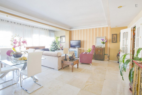 Charming single bedroom in Los Remedios - Gallery - 16