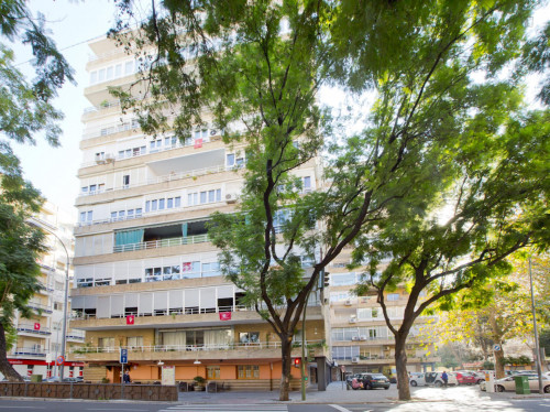 Charming single bedroom in Los Remedios