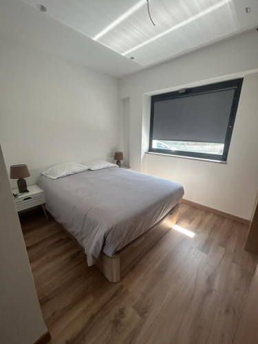 Bright studio near the Pedro Hispano metro