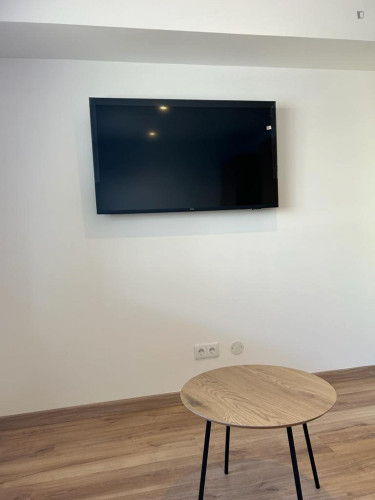 Bright studio near the Pedro Hispano metro  - Gallery -  5