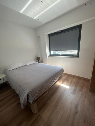 Bright studio near the Pedro Hispano metro