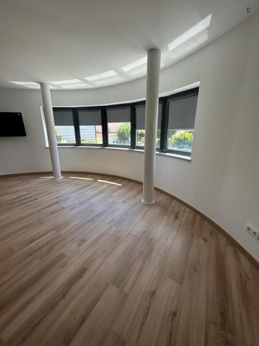 Bright studio near the Pedro Hispano metro