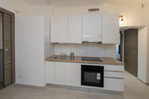 Appealing 3-bedroom flat close to Center and Universities - Gallery - 22