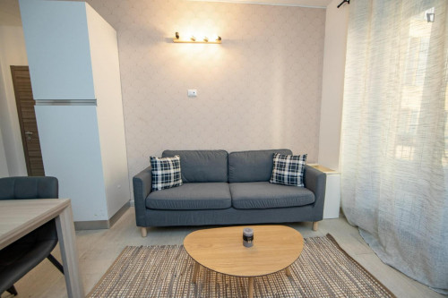 Appealing 3-bedroom flat close to Center and Universities - Gallery - 23