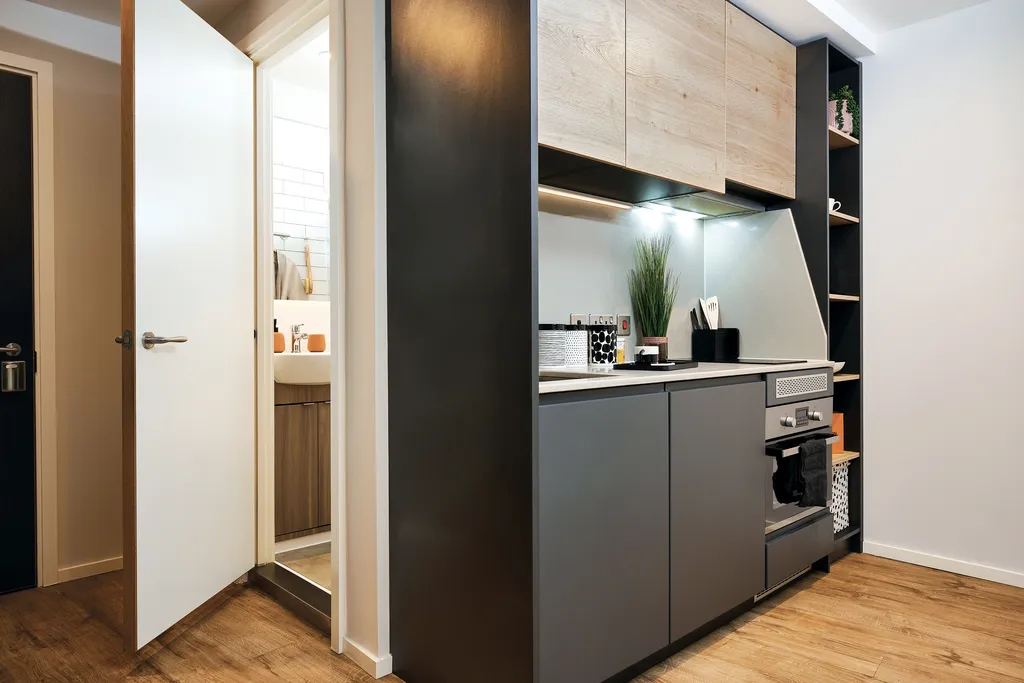  Classic Studio  -  Portland Crescent  - Gallery -  5