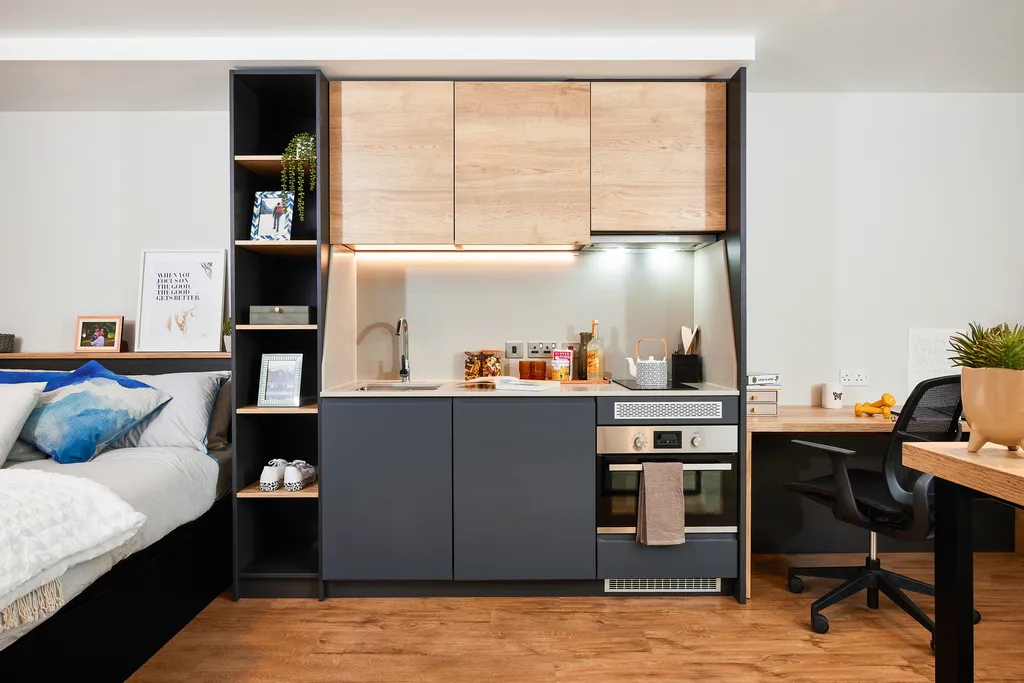  Classic Plus Studio  -  Portland Crescent  - Gallery -  3