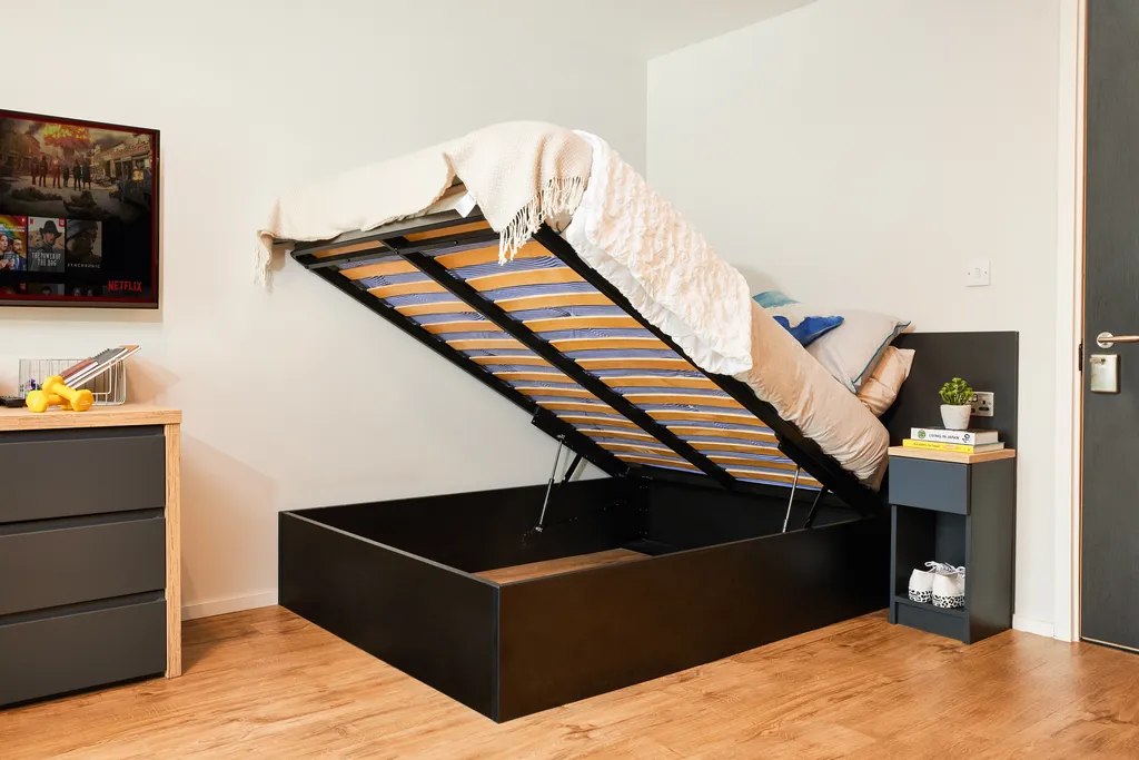  Classic Plus Studio  -  Portland Crescent  - Gallery -  15