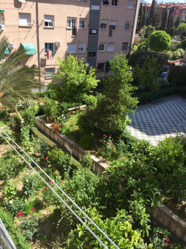 Single bedroom, with balcony, in 3-bedroom apartment