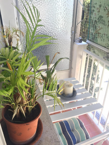 Single bedroom, with balcony, in 3-bedroom apartment  - Gallery -  5