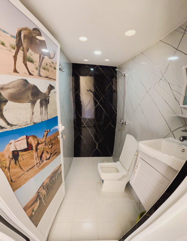  Dome Tent  -  Luxury Outstanding Complex w/ Desert Views near Wasil Sands  - Gallery -  8