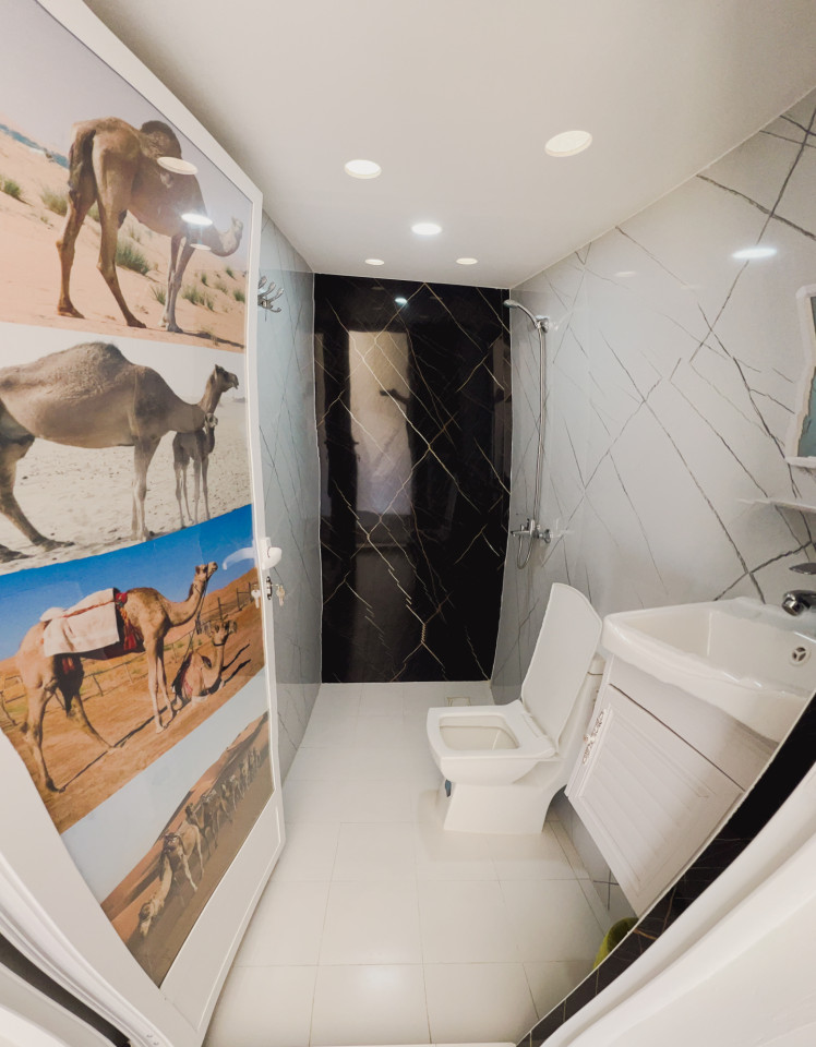  Dome Tent  -  Luxury Outstanding Complex w/ Desert Views near Wasil Sands  - Gallery -  1