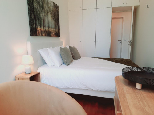 Marvellous 1-bedroom apartment in Bonfim - Gallery - 7