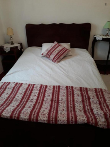 Charming 3-bedroom house in Janeiro de Baixo