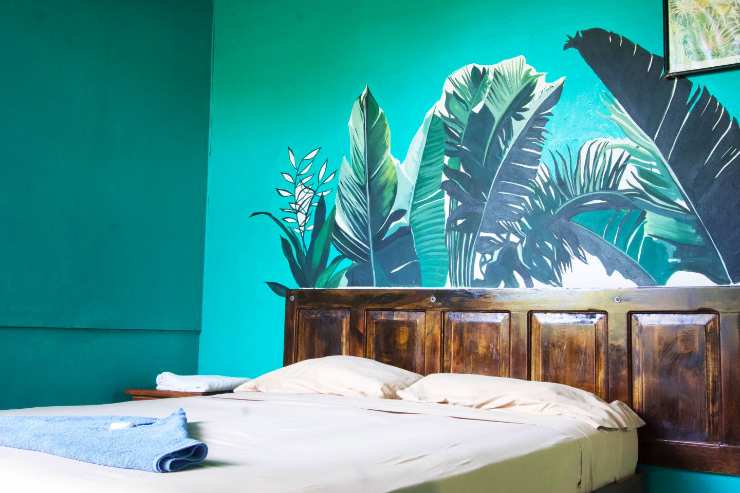 Queen Room - Charming beach house near San Jose w/ yoga and surf club included. - Gallery - 6