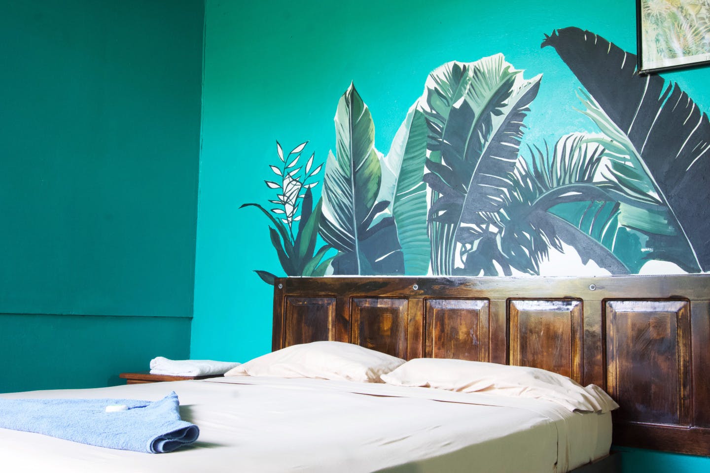 Queen Room - Charming beach house near San Jose w/ yoga and surf club included. - Gallery - 1