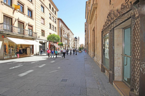 Bright 1-bedroom apartment near Universidad de Salamanca - Gallery - 10