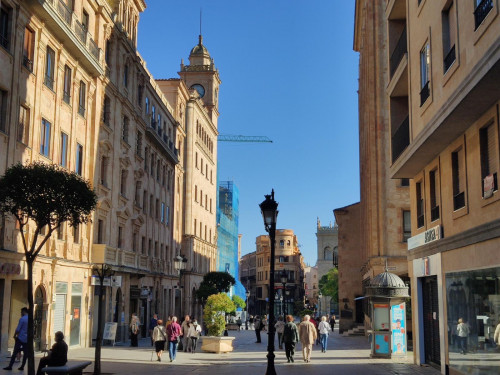 Bright 1-bedroom apartment near Universidad de Salamanca - Gallery - 20