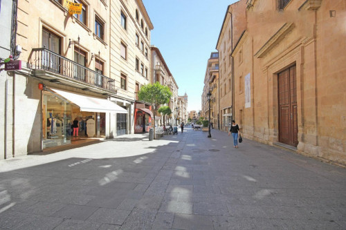 Bright 1-bedroom apartment near Universidad de Salamanca - Gallery - 11