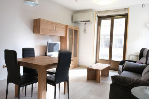 Bright 1-bedroom apartment close to Plaza Mayor