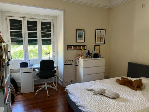 Sunny double bedroom next to Instituto Superior Técnico