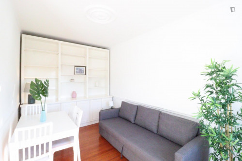 Great 2-bedroom apartment with private terrace in Campo de Ourique