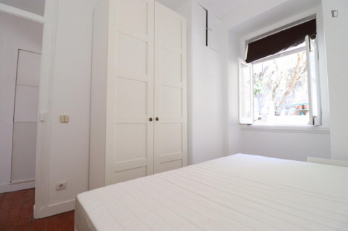 Entire 2-bedroom apartment with private terrace in Campo de Ourique - Gallery - 12