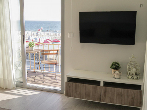 Sunny 2-bedroom apartment near Praia da Apúlia - Gallery - 17