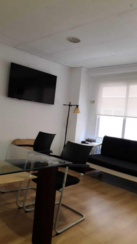 Double bedroom in 2-bedroom apartment