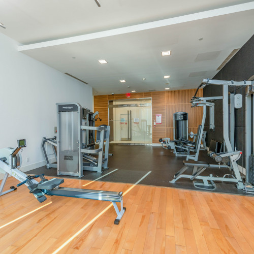Homewood Ave Apartments - Gallery - 11
