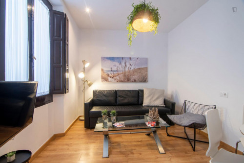 Charming 3-bedroom apartment near Iglesia San Antón