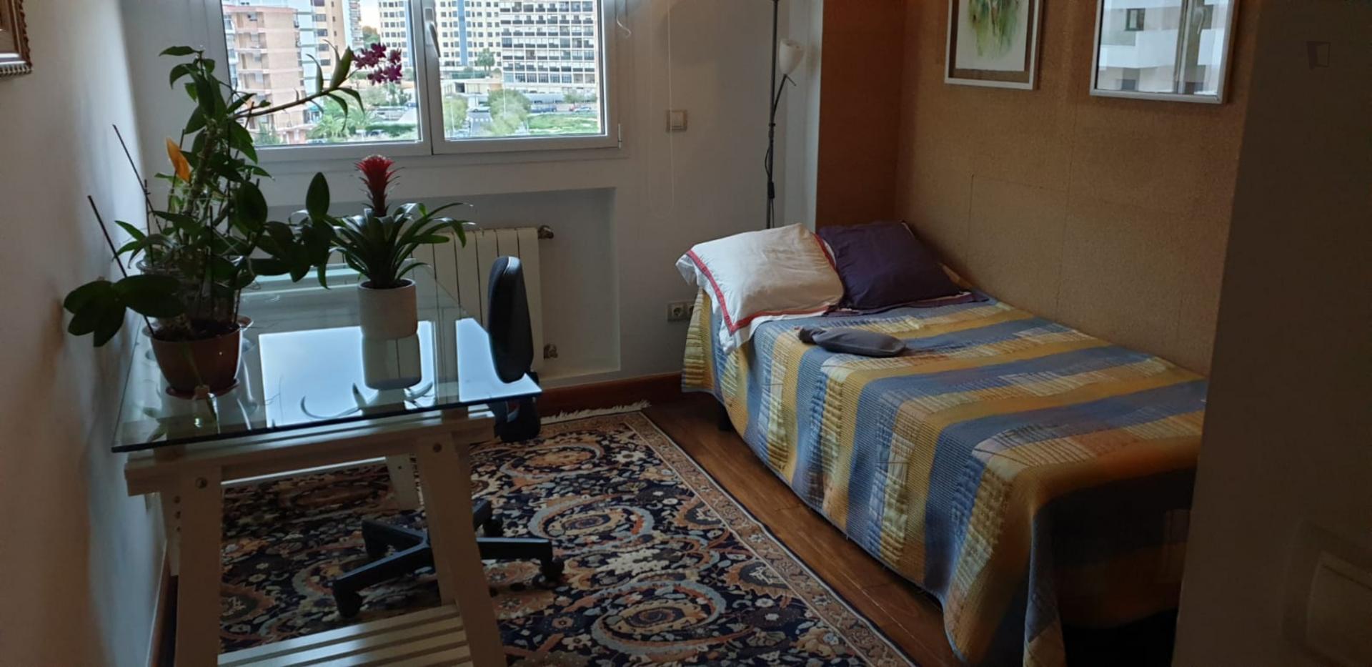 Cool single bedroom near Playa Albufereta