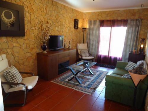 Amazing 3-bedroom house with garden close to Lagoa De Albufeira