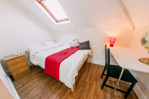 Beverley Road Hull  - Gallery -  5