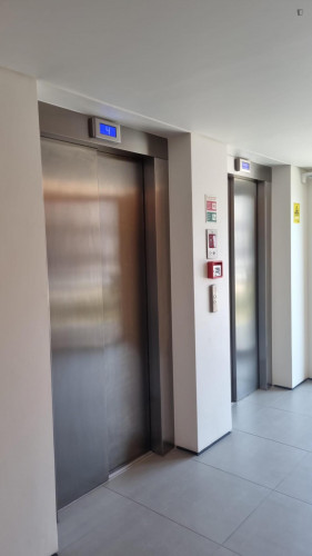 Charming 1-bedroom flat