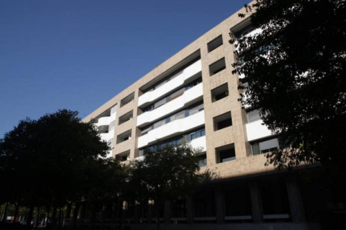 Very cool 2-bedroom apartment in Parque das Nações  - Gallery -  5