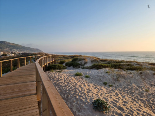 2-bedroom apartment, with outdoor area