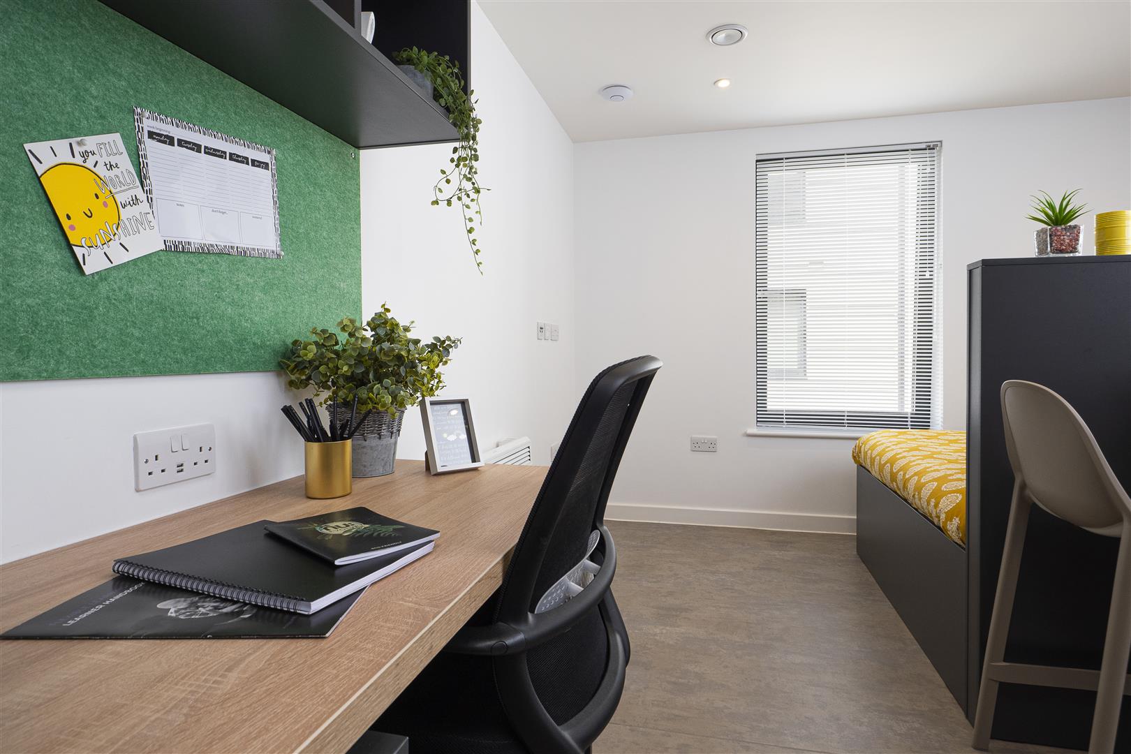  Studio Style A04 - Davey  -  Westgate one  - Gallery -  3