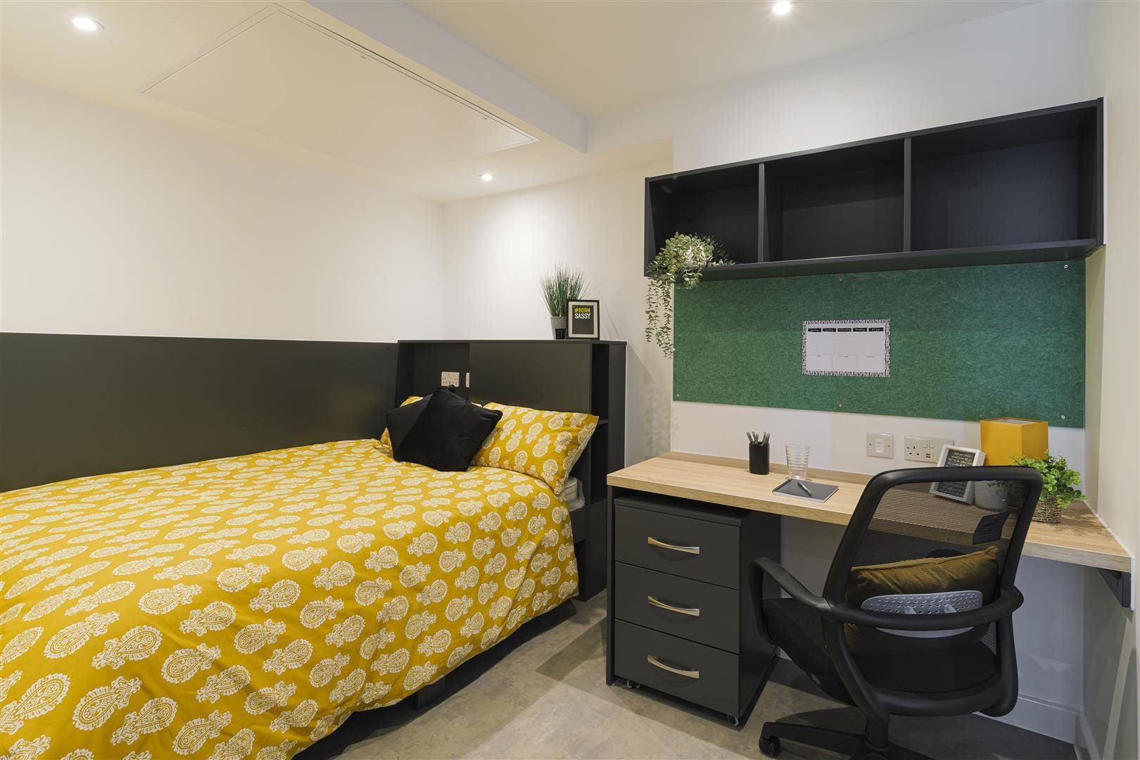  Studio Style D05- Bedford  -  Westgate one  - Gallery -  1