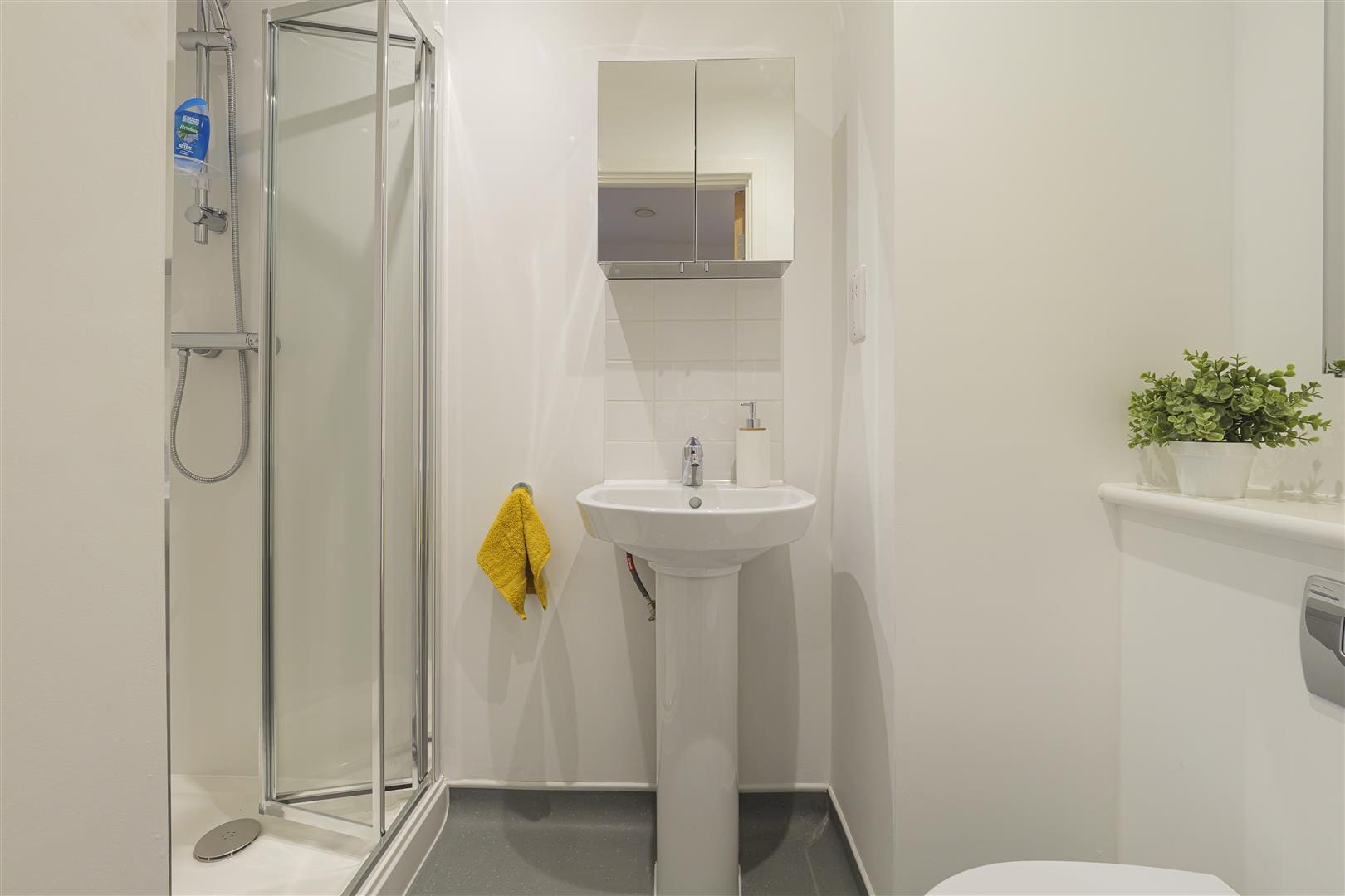  Studio Style D02- Bedford  -  Westgate one  - Gallery -  8