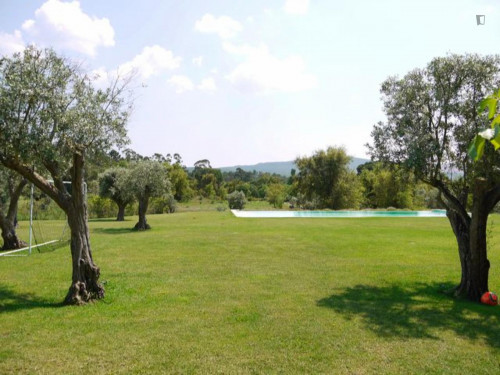 Fantastic 4-bedroom house in Setúbal
