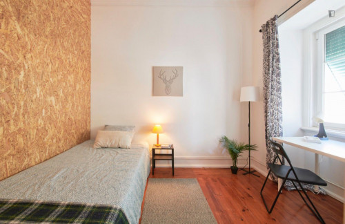 Cosy single bedroom not too far from Instituto Superior Técnico