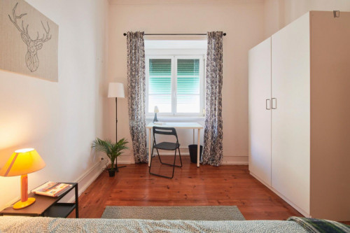 Cosy single bedroom not too far from Instituto Superior Técnico