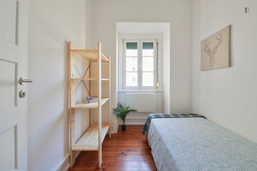 Sunny single bedroom in a 6-bedroom flat