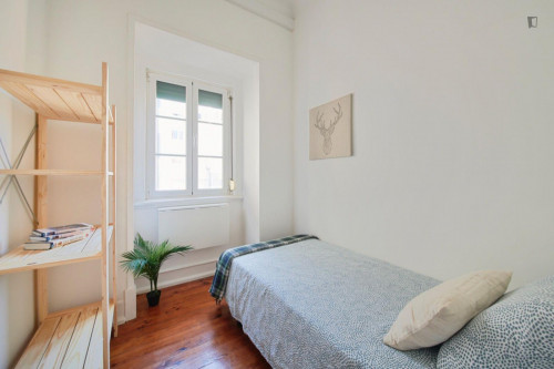 Sunny single bedroom in a 6-bedroom flat