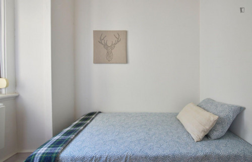 Sunny single bedroom in a 6-bedroom flat