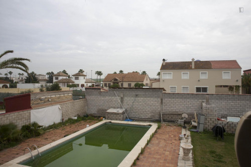 Great looking single bedroom near Universidad Pablo de Olavide  - Gallery -  5
